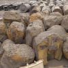 مركز الملك سلمان ينزع 1668 لغماً خلال أسبوع باليمن