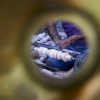 “جراخو” كربلاء يبقون حرفة صناعة هياكل الأراجيل الخشبية على قيد الحياة