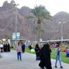 انطلاق فعاليات موسم حائل