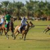 المنتخب السعودي للبولو يشارك في بطولة كأس محمد السادس الدولية