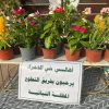 فعالية تشجير الأحياء السكنية “مبادرة المظلة النباتية”