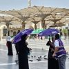 خلال موسم حج 1446هـ.. مجموعة stc تواكب وصول الحجاج إلى المدينة المنورة بجاهزية رقمية مدعومة بالذكاء الاصطناعي