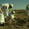 الغطاء النباتي:  ٧ ملايين شجرة غُرست لمستقبل أخضر في مكة