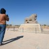 الحياة تدب في بابل