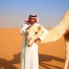 “حسكات الوبر” فقرة متنوعة من تراث الإبل تعيد للأجيال ما اختفى من موروثها