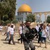 مستوطنون يقتحمون المسجد الأقصى.. والاحتلال يعتقل 28 فلسطينيًّا من الضفة