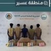 دوريات حرس الحدود بمنطقتَي عسير وجازان تحبط تهريب 774 كلجم من نبات القات المخدر
